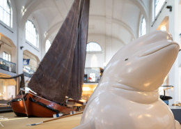 Rhineheart ist zurück im Museum der Deutschen Binnenschifffahrt
