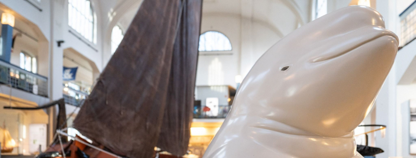 Rhineheart ist zurück im Museum der Deutschen Binnenschifffahrt